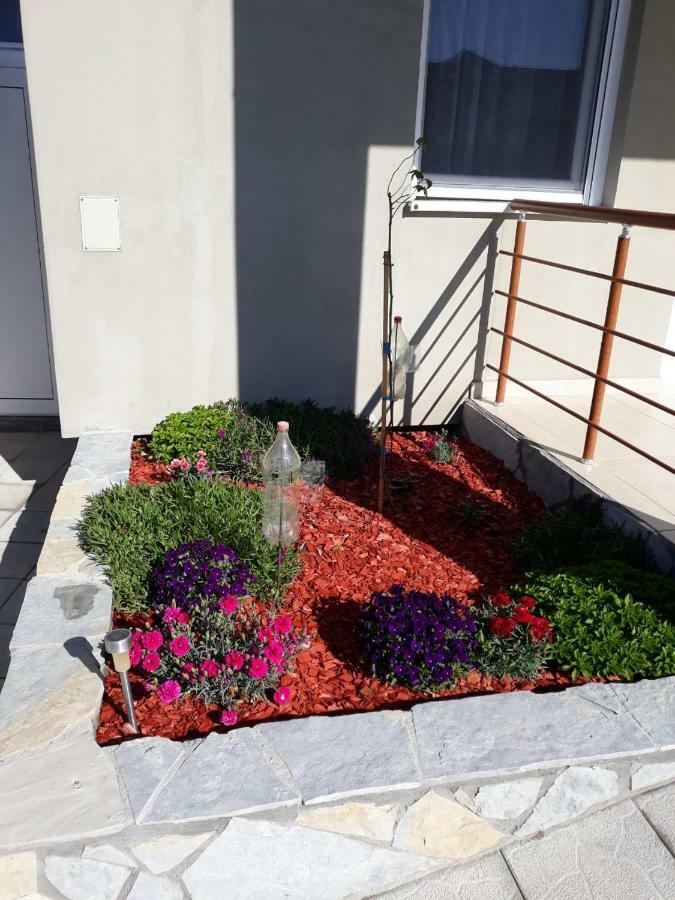 Apartamento Simica Cose Vrdnik Exterior foto