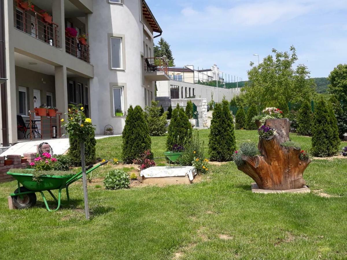 Apartamento Simica Cose Vrdnik Exterior foto
