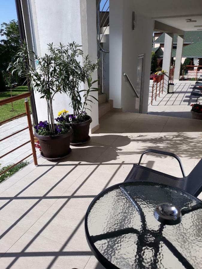 Apartamento Simica Cose Vrdnik Exterior foto